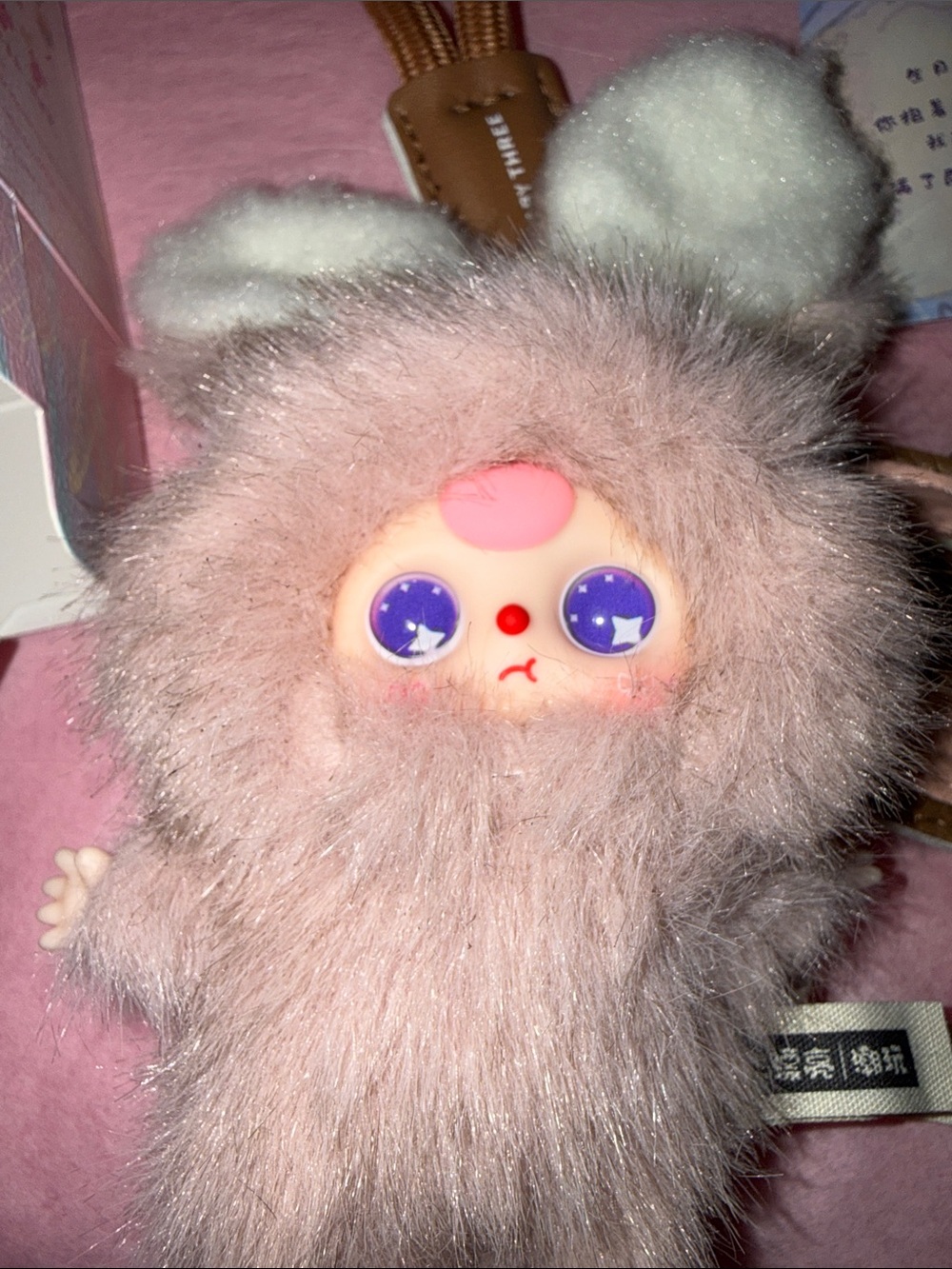 Baby Three Super Mini Bunny CONFIRMED O SPECIAL EYES! - Picture 4 of 13